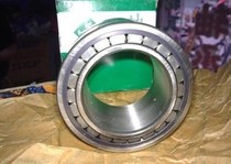 Germany INA bearing imported bearing SL04-5005-PP-2NRSL045005PP2NRSL045005