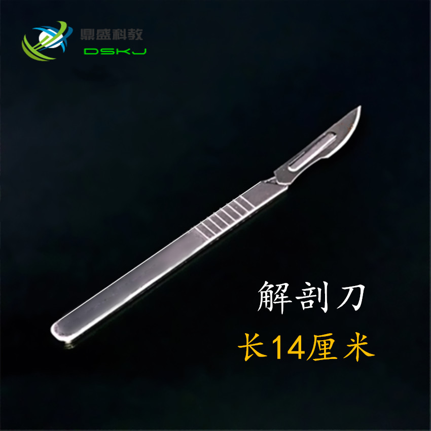 生物解剖刀 铁镀锌 小刀 生物实验 实验用品 教学仪器