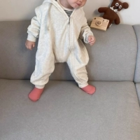 Рис серого цвета