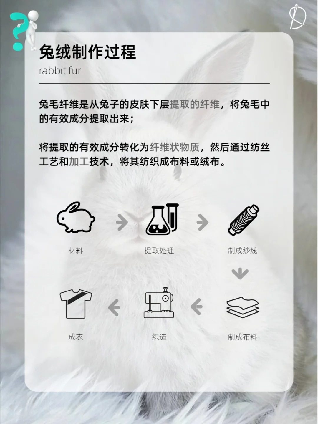 兔絨品質圖 (1).jpg