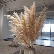 Новый Цветочный Букет Pongpu Reed Sued Flower-украшение Гостиной Nordic Tian Garden Wind Свадебный Аранд