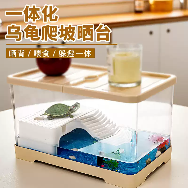图片16