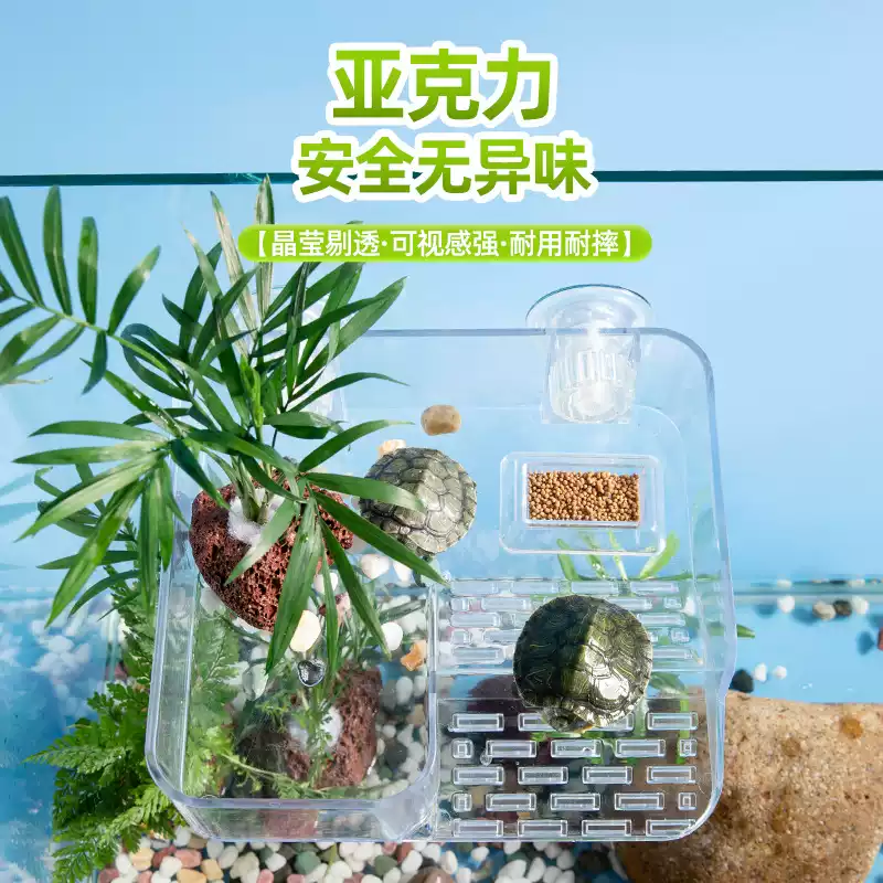 图片11
