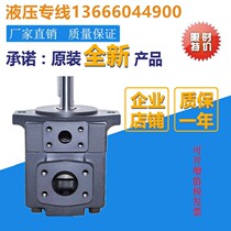 YLC Xianü Yongling vane pump YB-E16 E25 E25 E40 E40 E63 E80 E100E125 E100E125 oil pump