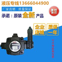 Taiwan Cruise Force EALY Vane Pump VDC-1A-F20A VDC-1A-F20A F20B F20C F20D-20 F20D-20 Pump