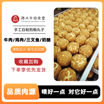 Homemade Artisanal Bull Meatballs Pure Meat Meme Calcium Young Dog Adult Dog Open Bag Ready-to-eat Healthy Without Added Nutrition