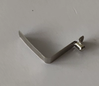 5 серебряных пряжек