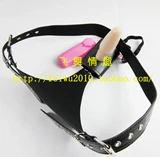 Женская мастурбация содержит целомудрие с электрическими брюками для вибрации анальной плагины SHADEE SM Альтернативные секс -игрушки настройки