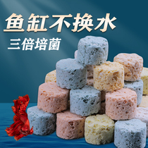 Fish Tank Filtration Material Nitrox Bacteria House Filter Material Ceramic Ring Nano Quartz Ball Filter Fish Pool Bacilli Filter
