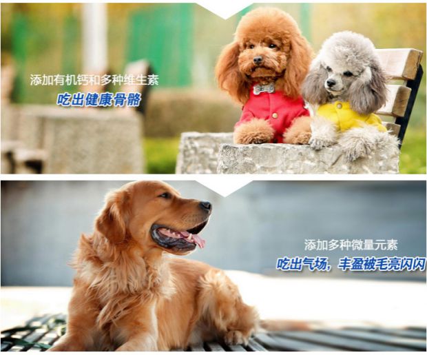 Thức ăn cho chó của Baolu Jiabei dành cho người lớn thức ăn cho chó thịt bò hương vị thịt gà 1,8kg hạt chính Teddy VIP hơn Xiong Bomei thức ăn hạt mềm zenith cho chó
