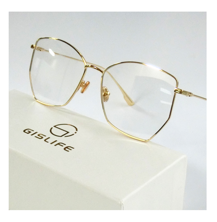 Montures de lunettes GISLIFE en Alliage cuivre-nickel - Ref 3138864 Image 35