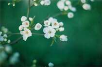 April Chronicle of various price difference links