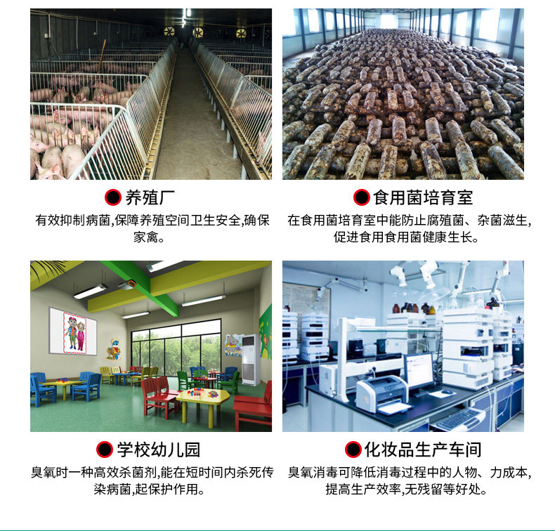 Ozone generator Household in addition to formaldehyde ozone disinfection machine Air purifier sterilization and disinfection of farms