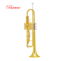 The Po Wee BWTR-300 Small Number of Musical Instruments