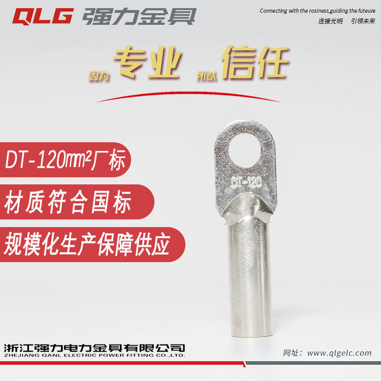 DT tinned copper terminal 120 square B-class wire terminal electrician copper wire nose terminal head copper connector