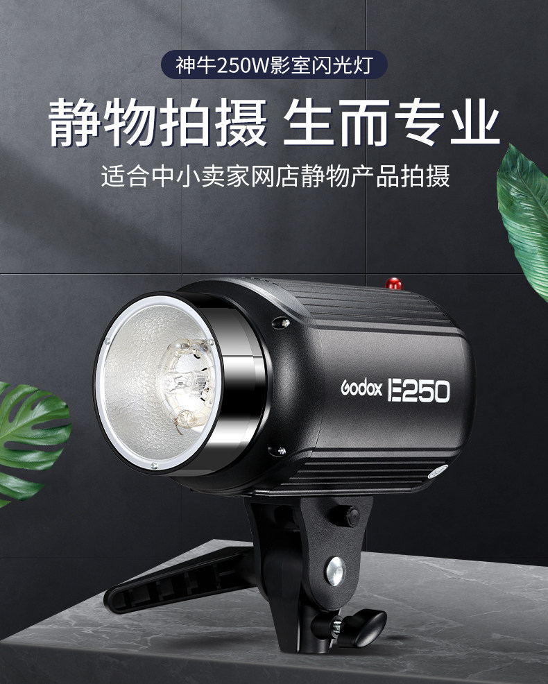 E250_01.jpg