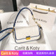 French niche design bag women's 2023 new trendy pleated baguette bag high-end underarm bag one-shoulder handbag