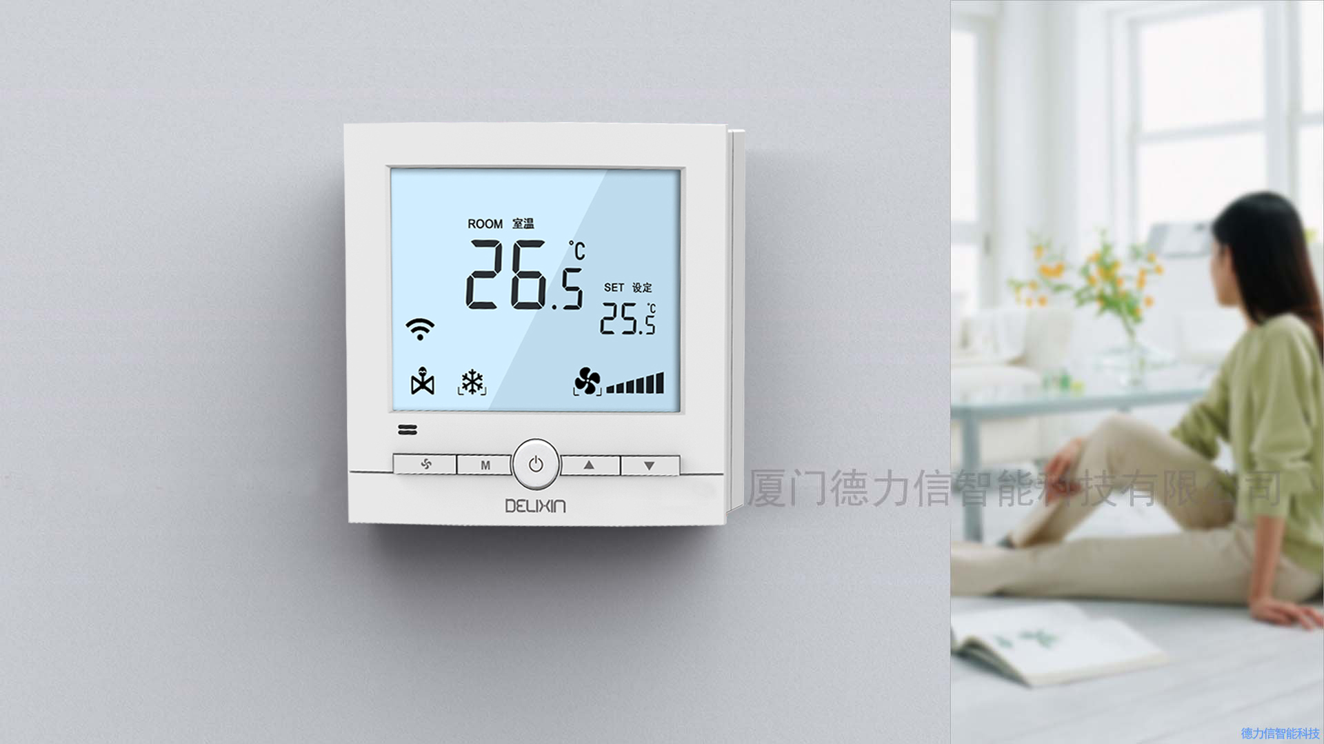 厦门德力信智能科技有限公司