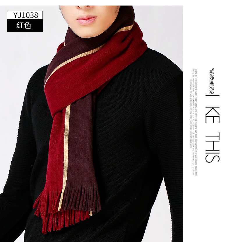 Echarpe pour homme en Cachemire - Ref 3157962 Image 28