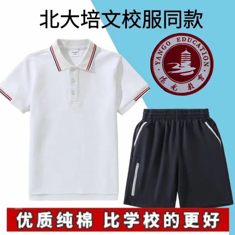 Boya Peking University Preparatory School Junior High and Primary School Students' Uniform Short-Sleeved Shorts Baseball Uniform Dark Gray Fleece-Lined Pants