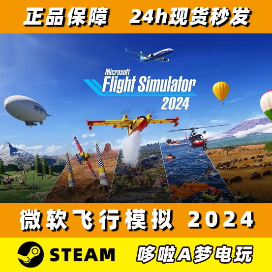 Steam Microsoft Flight Simulator 2024 New Account