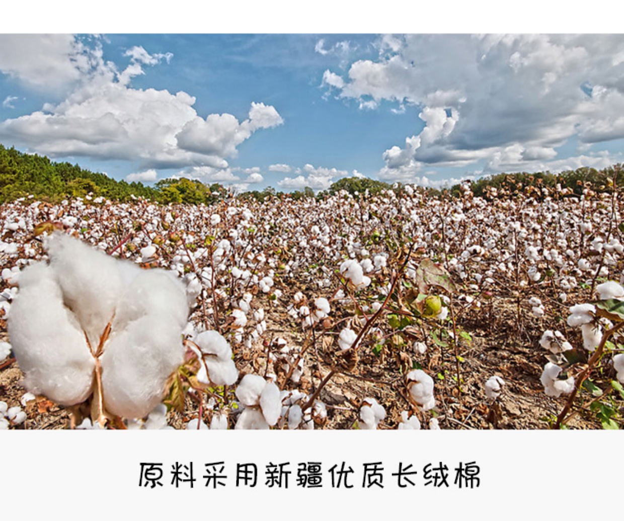 Vớ dày tất nữ vớ cotton vớ dưới nông vớ vô hình mùa thu và mùa đông cộng với nhung ấm chống trượt vớ vớ xỏ ngón