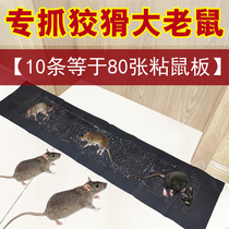 Mouse stickers strong sticky mouse board mouse clip rat trap artifact Indoor mouse glue rat extinguisher Stick sticky rat blanket