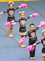 Customize the cheerleader Costume Cheerleaders performance Competitive Bodybuilding   Clothing Dance Suit 24 New Pine Mens Men