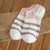 6 đôi tất nữ nông miệng vớ cotton sao nữ vớ vớ tất vớ Bít tất nữ