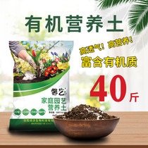 Strawberry potted special soil Phalaenopsis flower soil nutrient soil Universal Type 100kg soil rose fruit tree Indoor