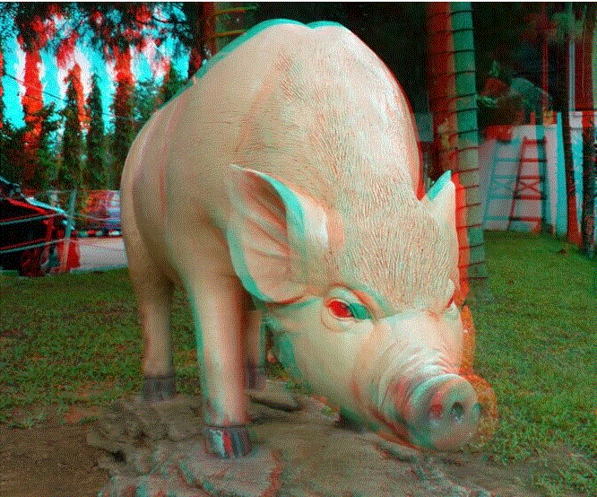 Lunettes 3D - Ref 2622195 Image 20