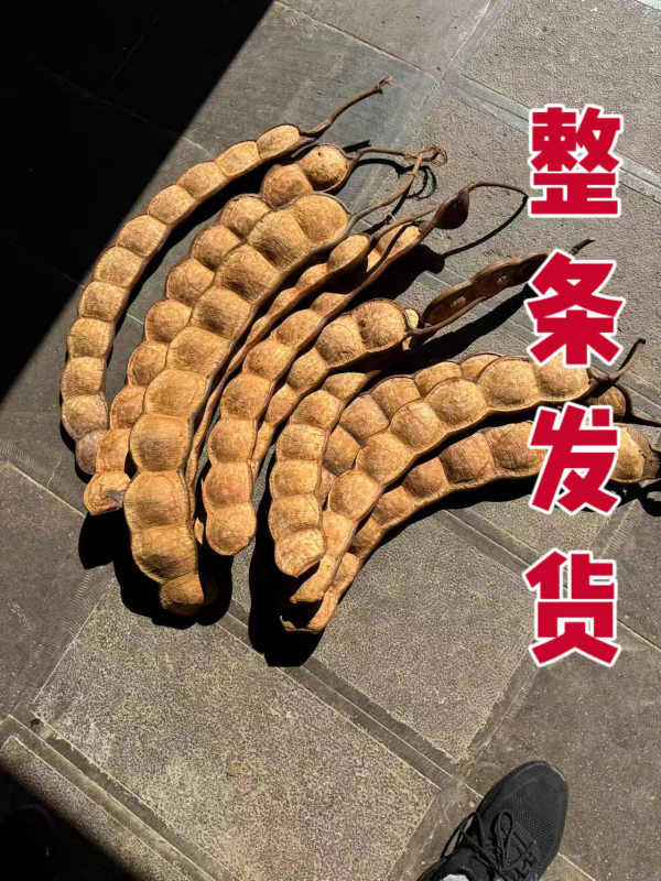 Yunnan Rattan Bean Pods Are Shipped Whole, Peace Beans for Home Decoration, Living Room and Restaurant Traffic-Attracting Soybeans! Yunnan Rattan Bean Pods Are Shipped Whole, Peace Beans for Home Decoration, Living Room and Restaurant Traffic-Attracting Soybeans!