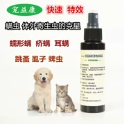 Tác dụng đặc biệt của chó diệt ve ngoài bọ chét trong ống nghiệm tẩy giun cho thú cưng - Cat / Dog Medical Supplies