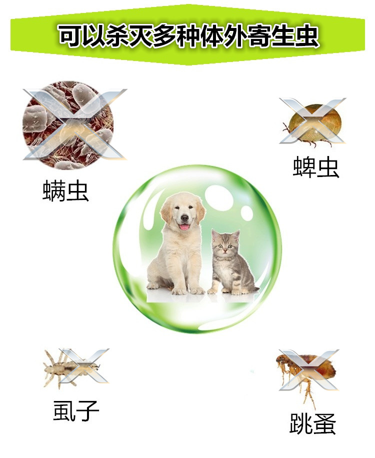 Tác dụng đặc biệt của chó diệt ve ngoài bọ chét trong ống nghiệm tẩy giun cho thú cưng - Cat / Dog Medical Supplies máy siêu âm cho chó mèo