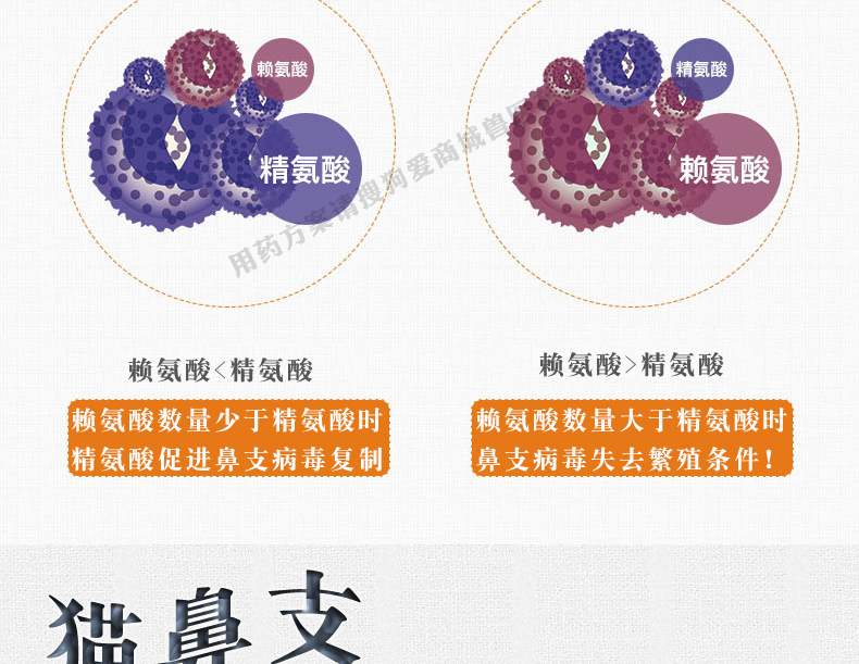 Lysine catamine bột mèo bột mèo lysine mèo axit amin mũi mèo bột mèo lạnh mũi - Cat / Dog Health bổ sung sữa mèo sơ sinh