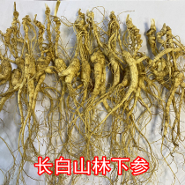 Forest ginseng forest seed wild seed sown seed mountain ginseng gift box dry goods whole Branch