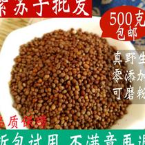 Pourpre Suziseed 500g Su Subgrain Can Grind Edible Cooked Purple Suseed Powder Barbecue Raw Suzu Chinese Herbal Medicine