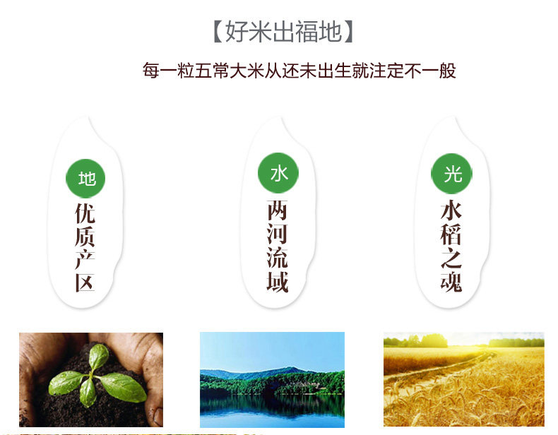 皇家稻场  黑龙江五常大米 10斤 图4