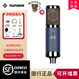 Telefunken/Delu Fengken TF11 M80TF51 Профессиональная запись Electic Tub