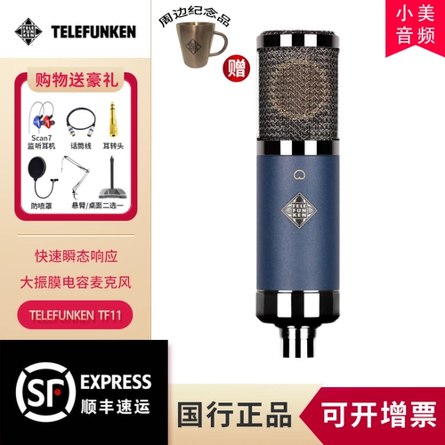 Telefunken/Delu Fengken TF11 M80TF51 Профессиональная запись Electic Tub