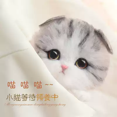 Qianying wool felt Wool felt material bag set cat gift handmade DIY bag brooch simulation small milk cat