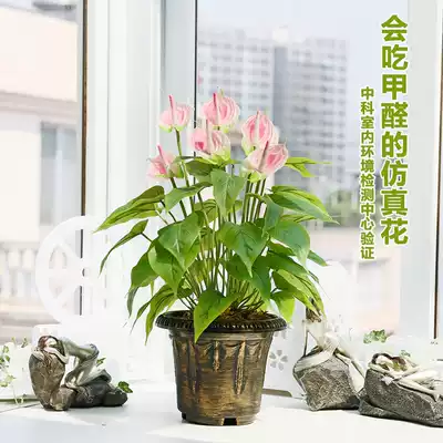 Simulation plant fire crane flower landing fake flower hotel dining room green plant decoration indoor home potted bonsai decoration accessories