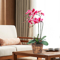 Hejia high-end hand feeling simulation Phalaenopsis living room fake flower potted set furnishings home decoration flower pu silk flower art