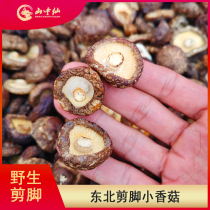 Northeast small shiitake mushroom dry goods cut feet without roots Wild shiitake mushroom farm specialty 250g