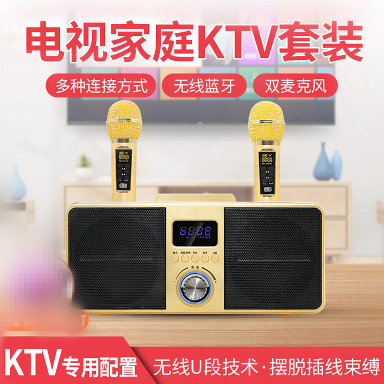 Taiwan exploits SD309 heavy bass double wheat mixer integrated home choral ktv suit sound wireless k song treasure