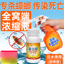 Cockroach spray 500ml safe and environmentally friendly strong anti-cockroach powder whole nest end cockroach insecticide