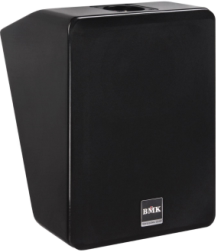 BMK baimak DH-1010 main speaker