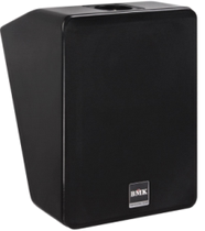 BMK baimak DH-1010 main speaker