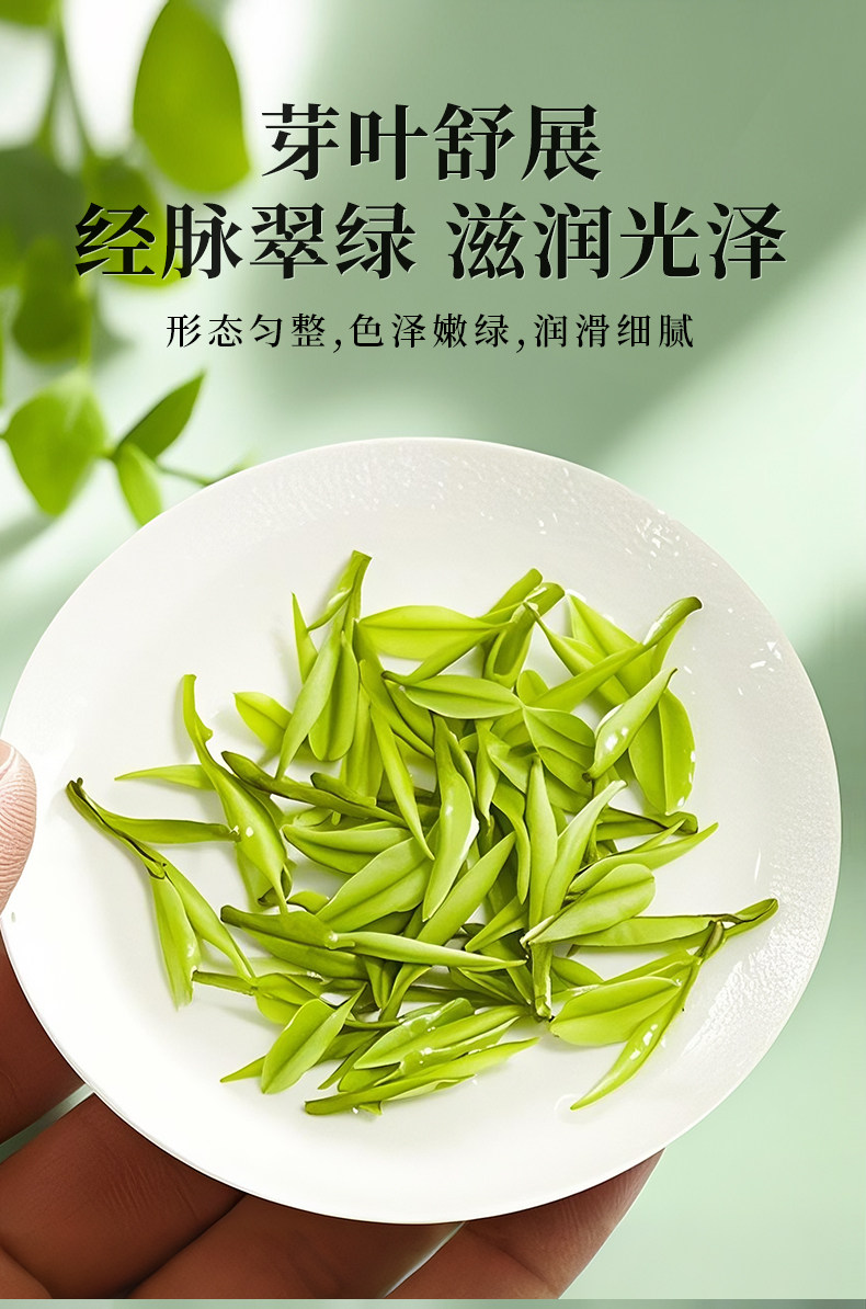 【中國直郵】 一杯香 2025新茶白茶明前安吉綠茶茶葉自己喝春茶 100g*2罐