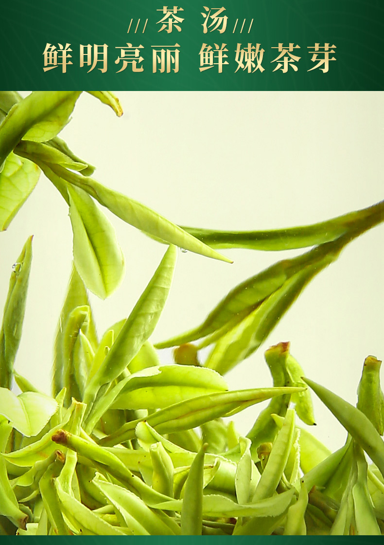 核心产区出品 一杯香 2019年新茶 明前春茶 安吉白茶 100g*2盒礼盒装 图5